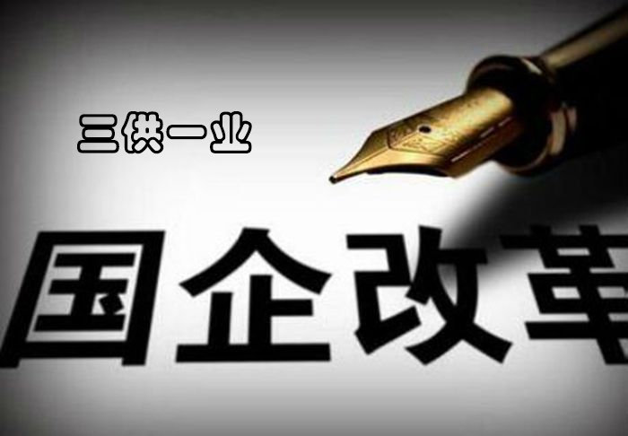 “三供一业”将推动光电直读远传水表发展